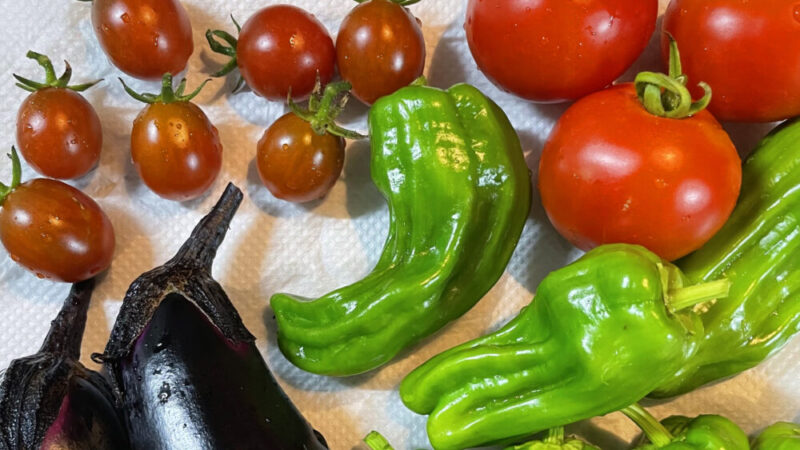 野菜を正しく常温保存する方法!長持ちさせる5つのコツと2つのメリット