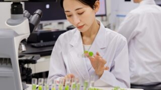 遺伝子組み換え作物のメリット・デメリット｜安全性や日本での現状も徹底解説 