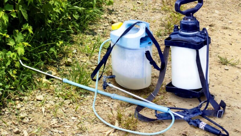 【農薬が人体に与える影響とは?】急性中毒から慢性リスクまで徹底解説!