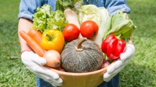 野菜摂取量は足りてる？健康リスクを防ぐための野菜摂取の目標と増やし方 